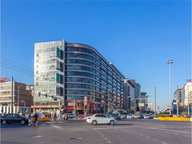 广州认识绿化树哪家便宜